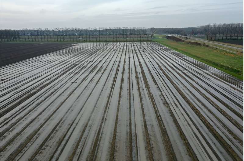 Dutch farmers struggle through extreme weather