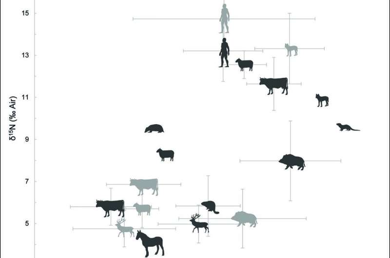 EARLIEST CATTLE HERDS IN NORTHERN EUROPE FOUND IN THE NETHERLANDS
