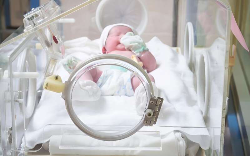 Early ibuprofen not beneficial for preemies with patent ductus arteriosus