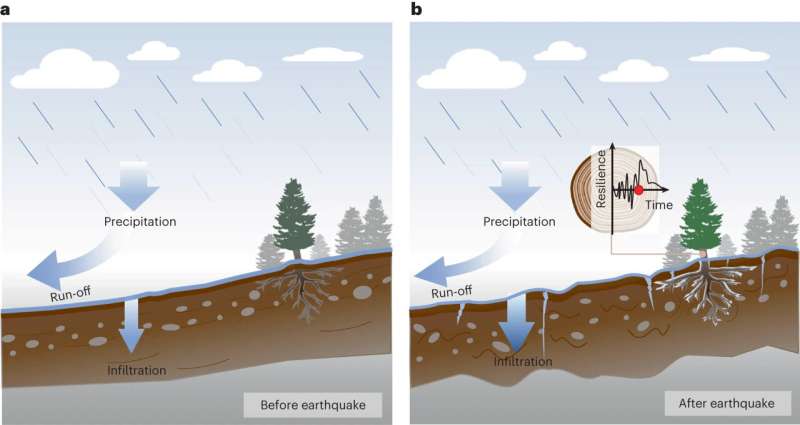 Earthquakes impact forest resilience for decades post-event