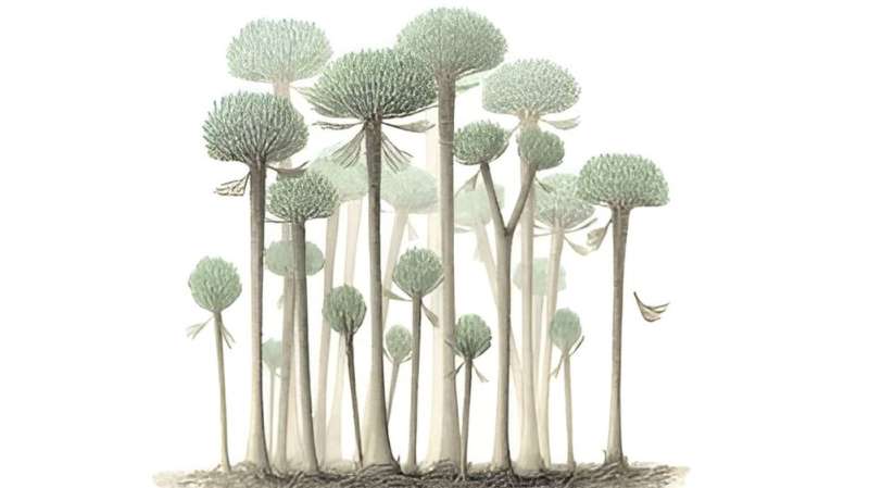 Earth's earliest forest revealed in Somerset fossils
