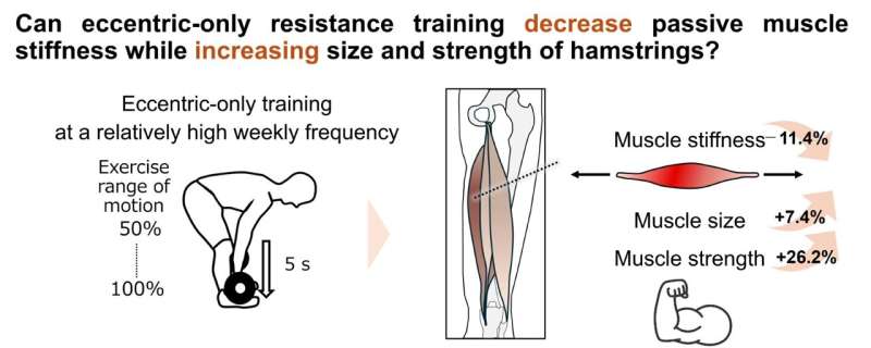 Eccentric-only resistance training can lower passive muscle stiffness