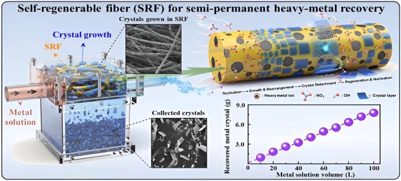 Eco-friendly, self-regenerative fiber material recovers valuable metals from industrial wastewater