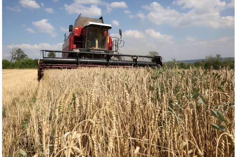 Economists and scientists have warned of massive hidden costs from global food systems
