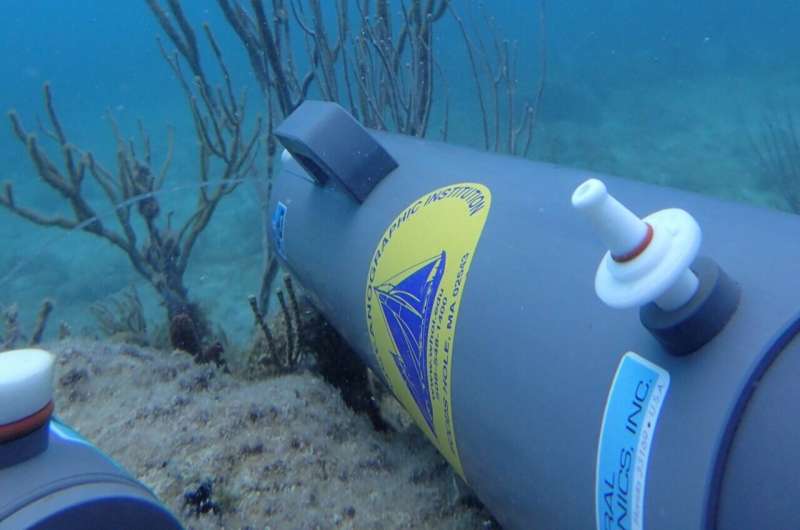 eDNA methods give a real-time look at coral reef health