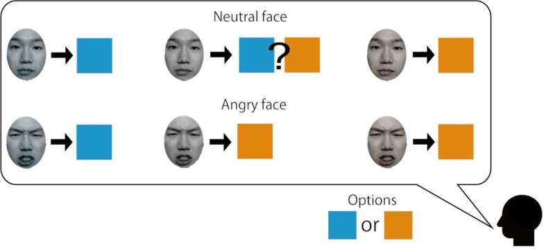 Effects of expression on facial color memory