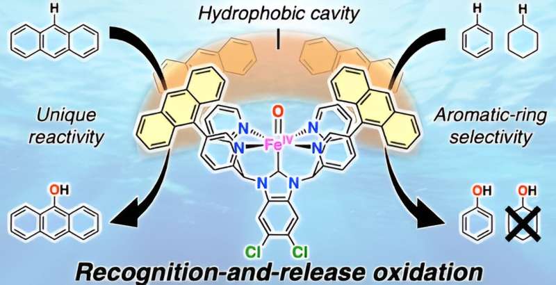 Efficient oxidation of hydrophobic aromatic organic substrates in water