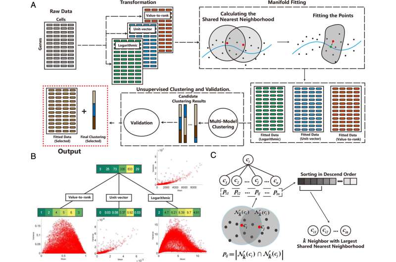 Elevating analysis of genomic data with breakthrough mathematical technique