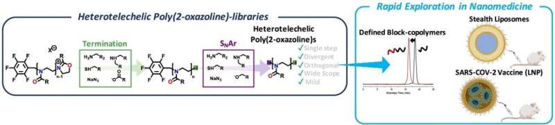 Snelle screening van op poly(2-oxazoline) gebaseerde nanogeneeskunde mogelijk maken door middel van uiteenlopende synthese;  naar alternatieve mRNA-vaccins
