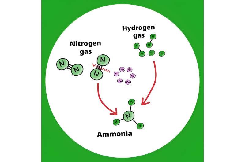 New catalyst allows energy-friendly ammonia production for fertilizers and alternative fuel