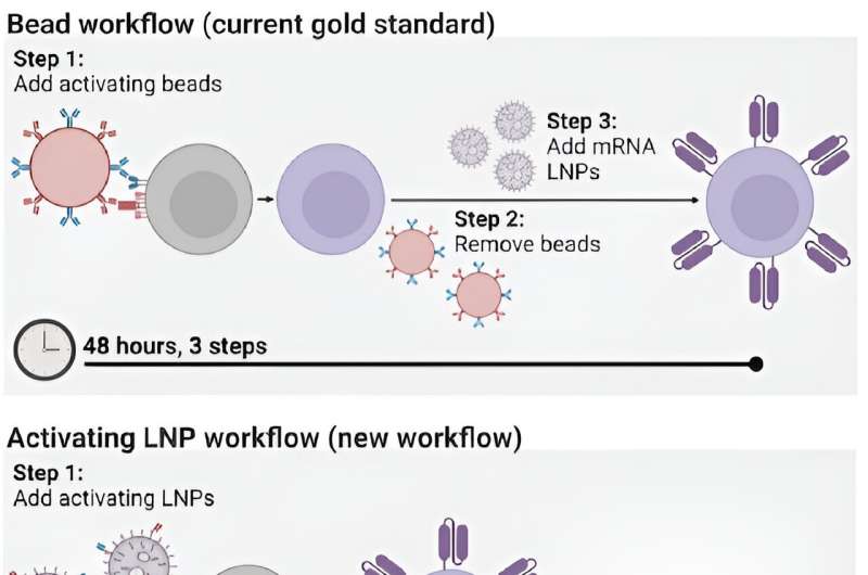 Engineers develop novel method for manufacturing CAR T cells using lipid nanoparticles