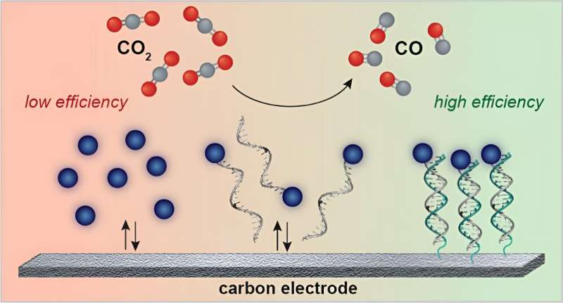Engineers find a new way to convert carbon dioxide into useful products