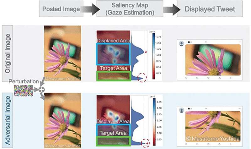 Enhancing automatic image cropping models with advanced adversarial techniques