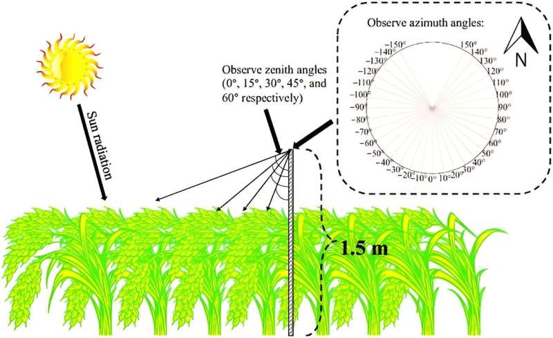 Enhancing crop productivity analysis: a novel approach using SIF and PRI for accurate GPP estimation in rice canopies