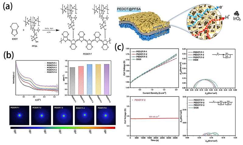 Enhancing the performance of proton exchange membrane water electrolysis by constructing electron/proton pathways