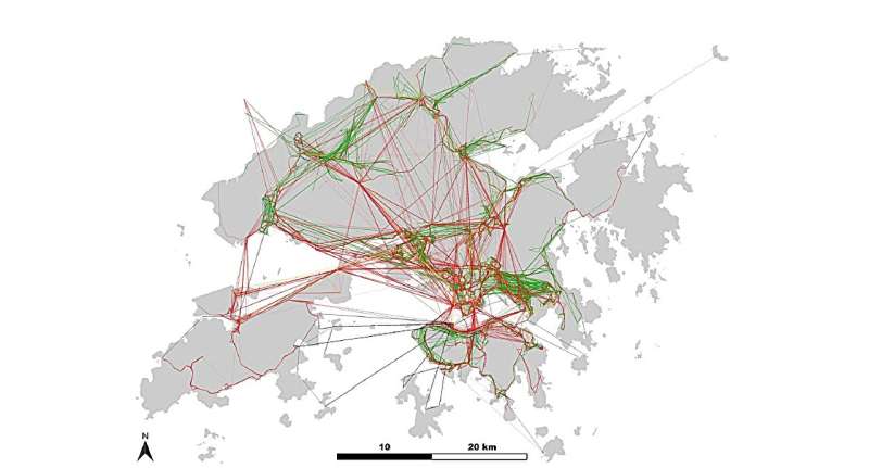 Enhancing the resilience of urban public transport systems through greater network interconnectedness