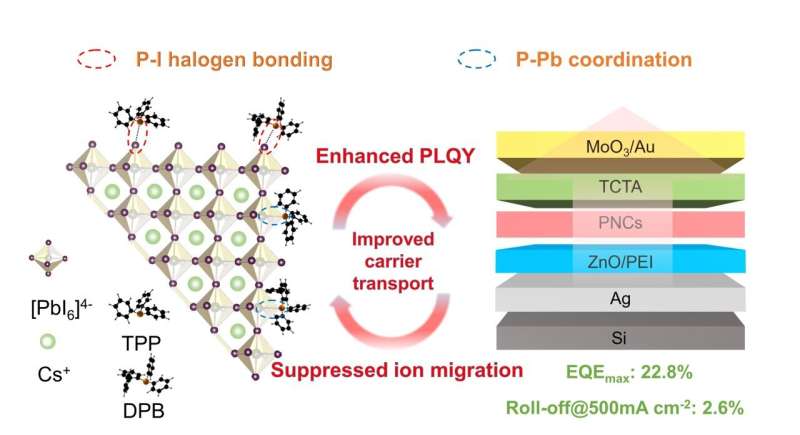 Enriquecimento de locais de ancoragem via ligações supramoleculares de halogênio para LEDs eficientes de nanocristais de perovskita