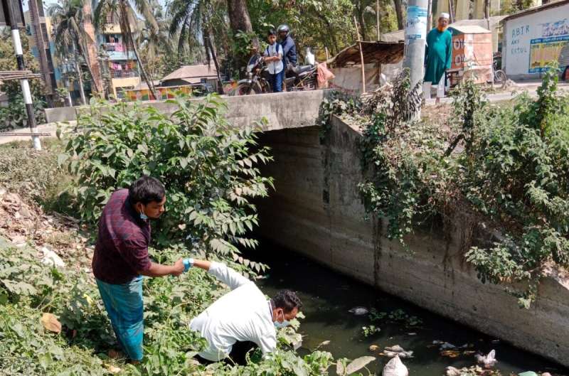 Environmental monitoring offers low-cost tool for typhoid fever surveillance