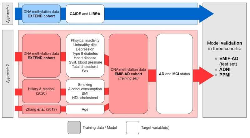 Epigenetics blood markers can help understand dementia risk