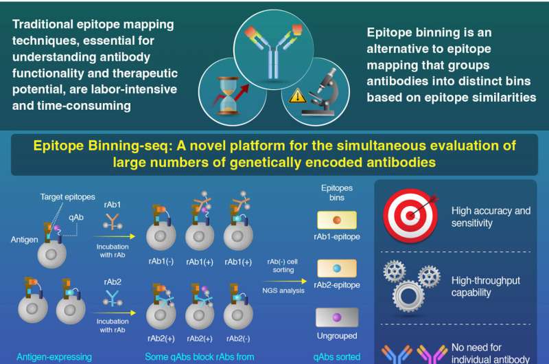 Epitope binning-seq: A game-changer in antibody drug discovery