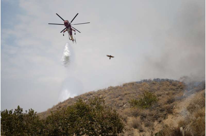 Evakuierungen werden angeordnet, da in den Ausläufern des National Forest östlich von Los Angeles ein Waldbrand wütet