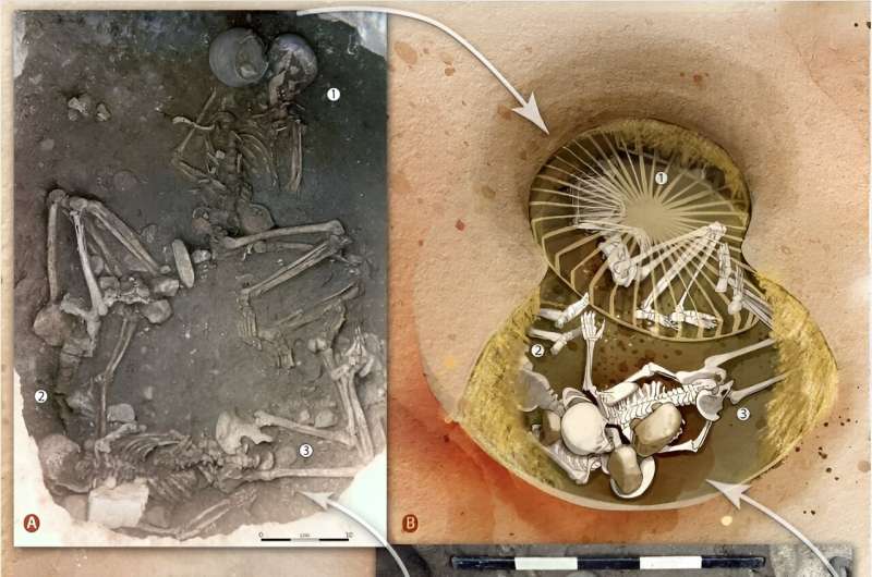 Evidence found of commonly conducted ritualized human sacrifice across Europe during the Stone Age