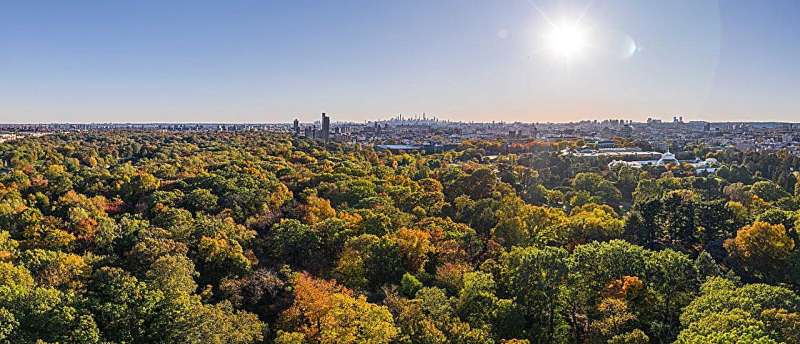 Examining a century of change in a New York City urban forest