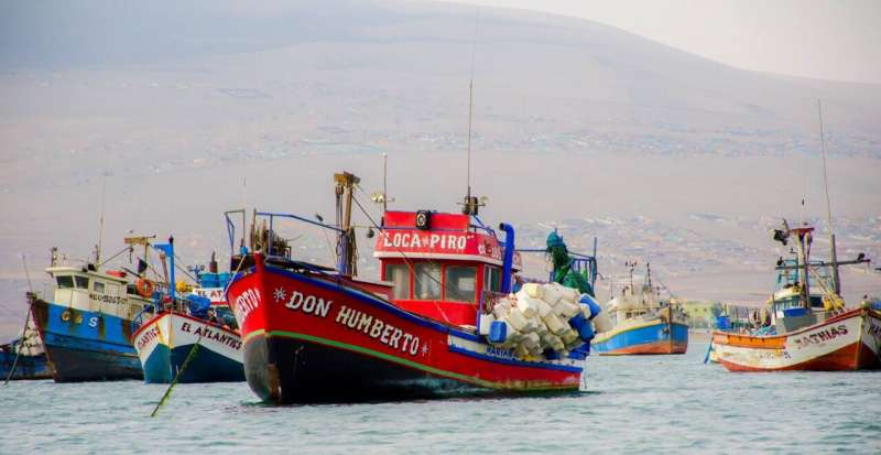 Expanding marine reserves will redistribute global fishing effort