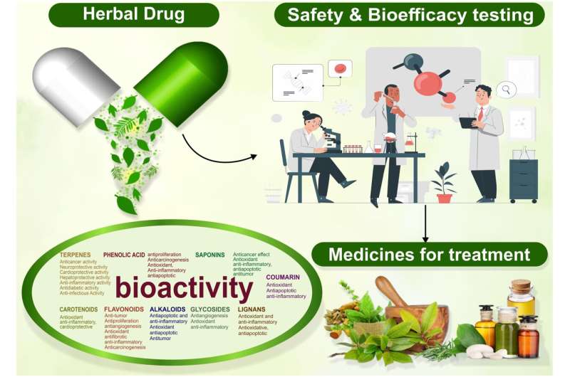 Exploring the safety, efficacy, and bioactivity of herbal medicines: Bridging traditional wisdom and modern science in healthcare