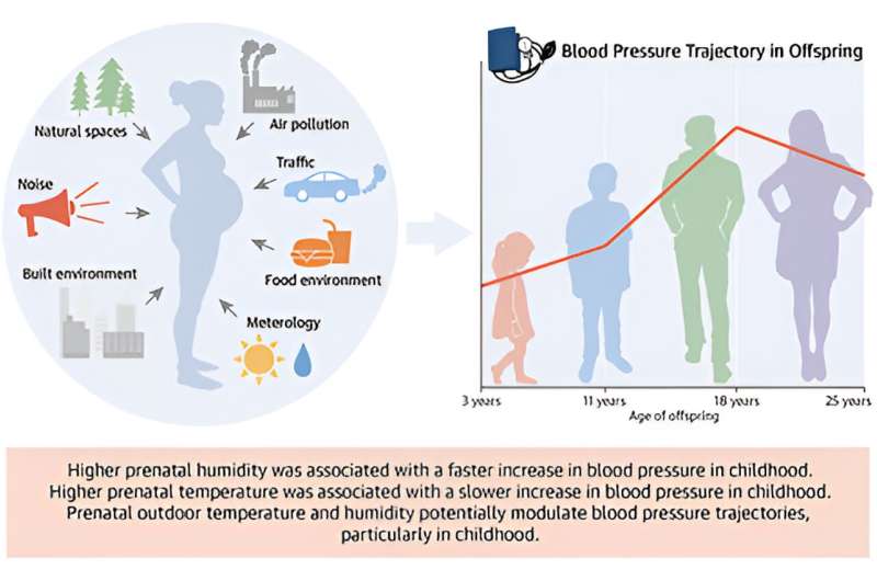 Exposure to high humidity and temperature in pregnancy could influence blood pressure changes in childhood