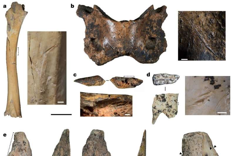 Extinct humans survived on the Tibetan plateau for 160,000 years