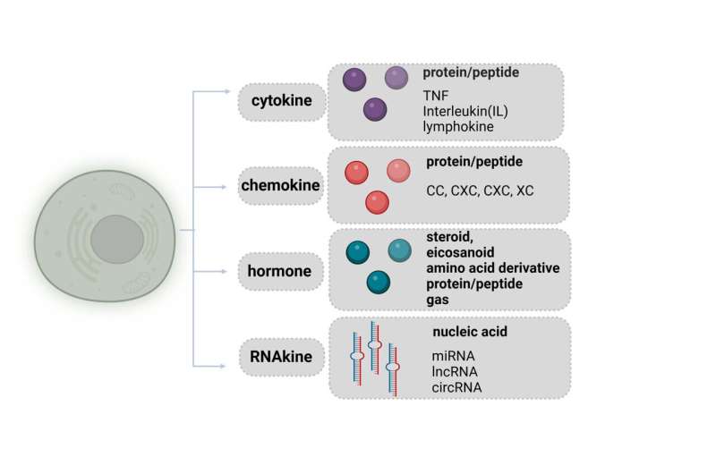 Extracellular RNAs are identified as a new type of signalling molecules: RNAkines