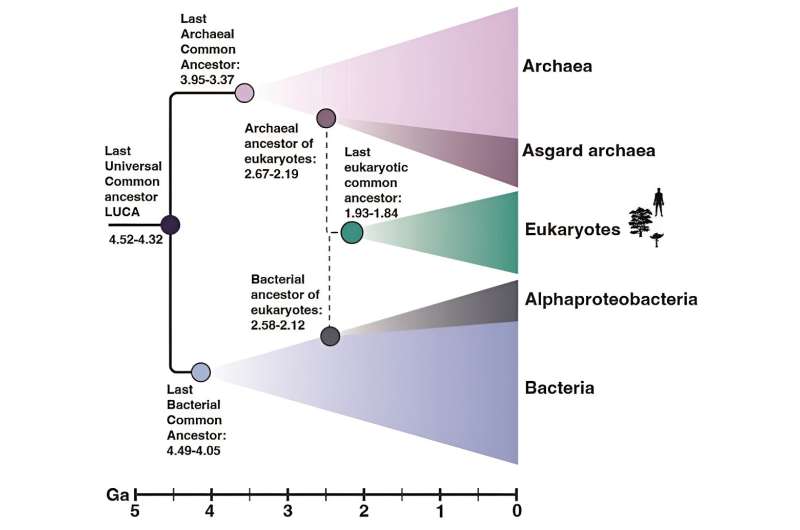 Extreme environments are coded into the genomes of the organisms that live there