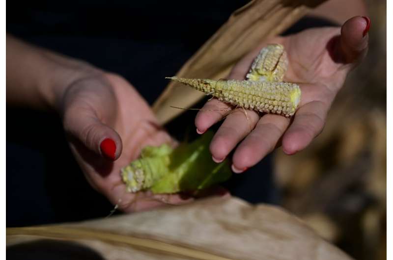 Farmers like Iulia Blagu are worried about the impact of climate change on their harvests