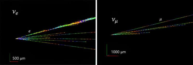 FASER measures high-energy neutrino interaction strength