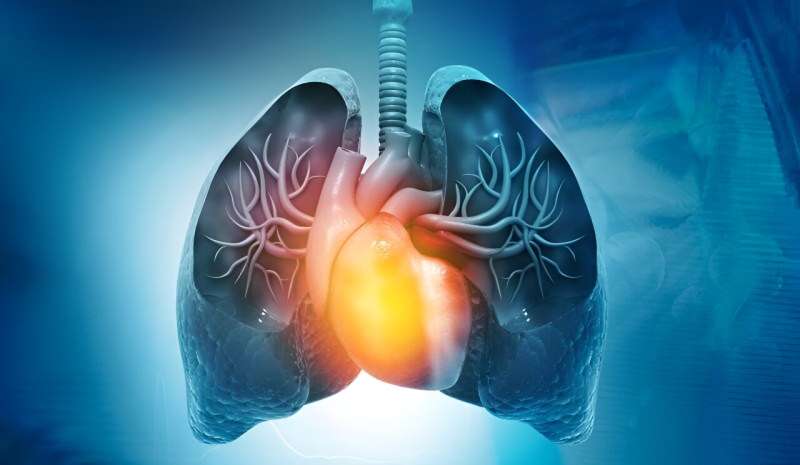 FDA approves winrevair for pulmonary arterial hypertension in adults