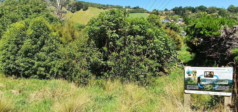 Feeding native ecosystems with waste