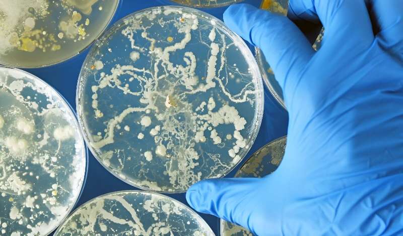 Fewer cases of fungal diseases coincided with start of COVID-19