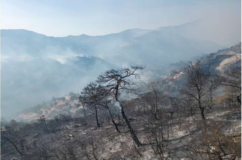 Firefighters battle severe forest fire in the Turkish Aegean city of Izmir for the third day in a row