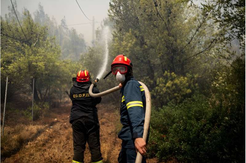 Firefighters hosing a wildfire in Dione outside Athens