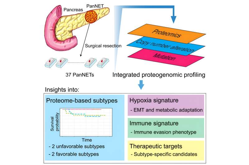 First-of-its-kind proteomic study of pancreatic neuroendocrine tumors may open door to new therapies