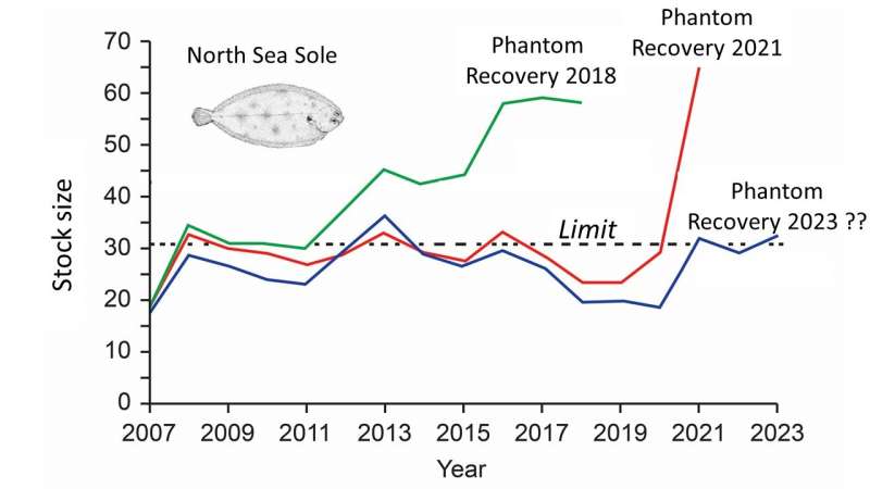 La investigación pesquera sobreestima las reservas mundiales de peces, afirman los expertos