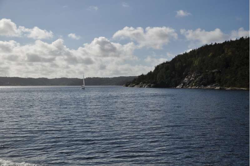 Fjords are effective carbon traps regardless of oxygen levels