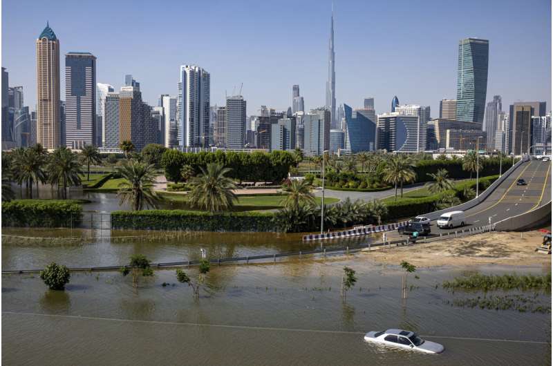 Floods and climate change blamed for surge in dengue in the Emirates as WHO warns of global spike