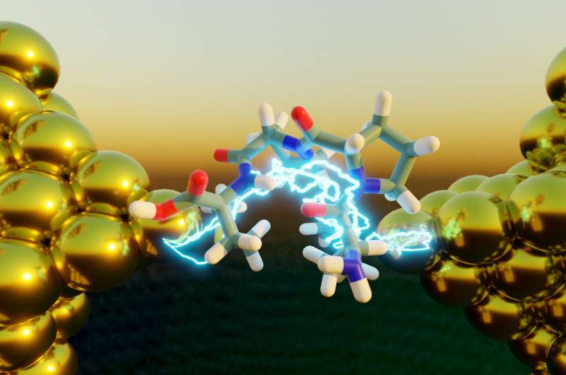 Folded peptides are more electrically conductive than unfolded peptides