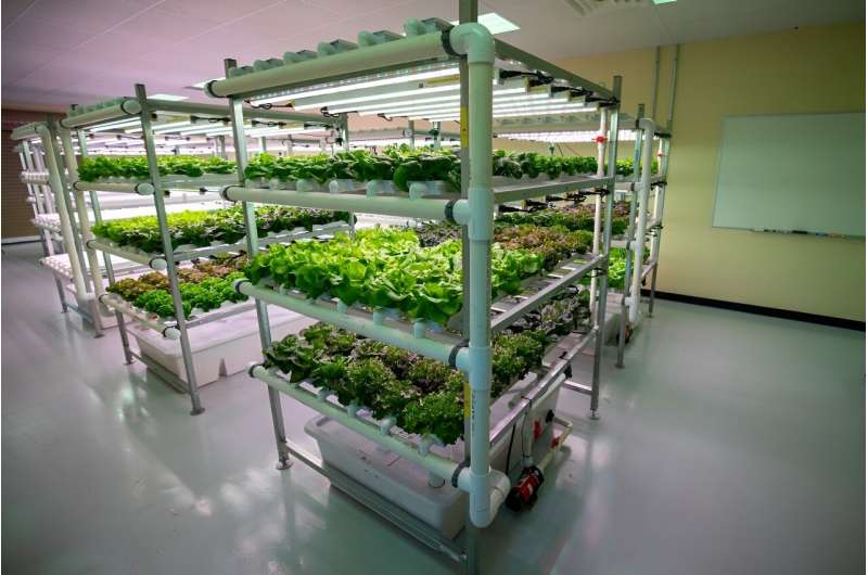 Food production using controlled environment agriculture and agrivoltaics systems could become the new normal