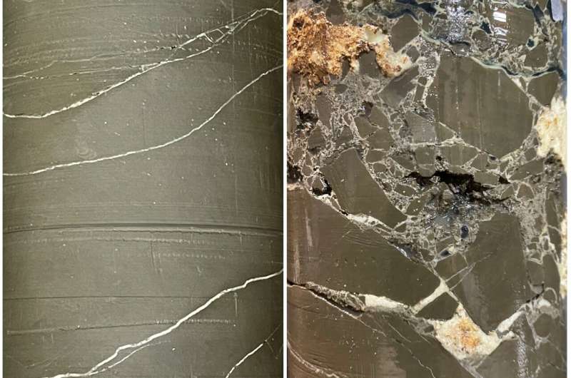 'Fossilizing' cracks in infrastructure creates sealing that can even survive earthquakes