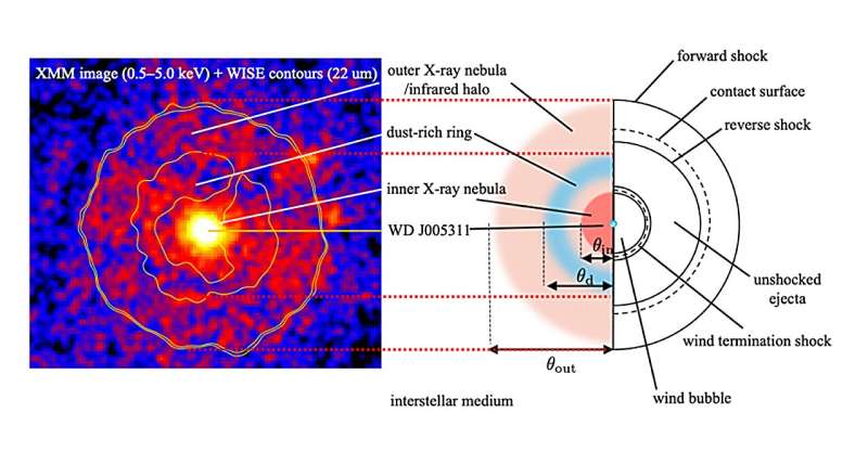 Fresh wind blows from historical supernova