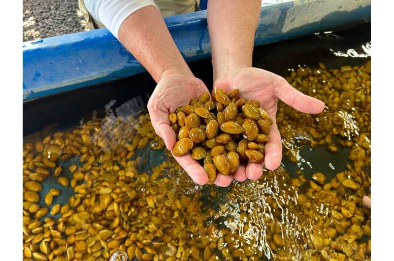 Moules d'eau douce : enquête sur le cycle de reproduction remarquable des mollusques menacés du Michigan