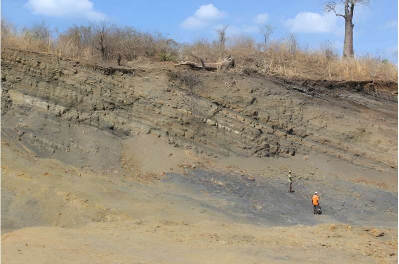 From fossils to fuel: Energy potential of Mozambique's Maniamba Basin